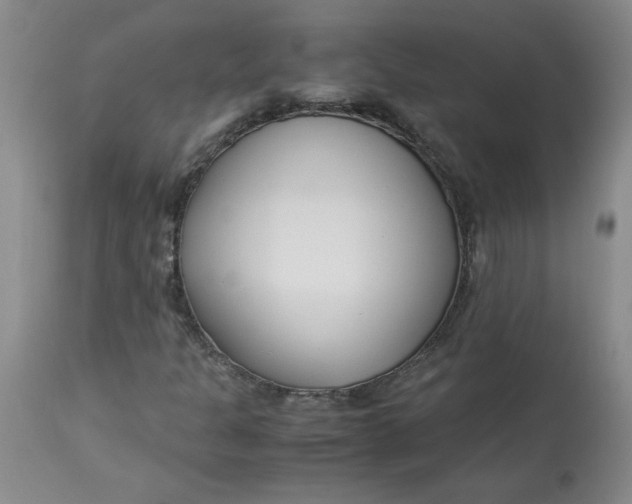 X0000113151301200909251318