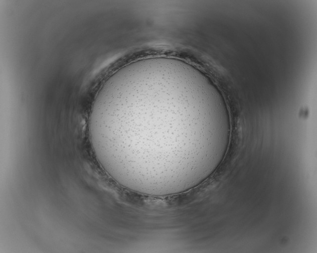 X0000113151302200909251318