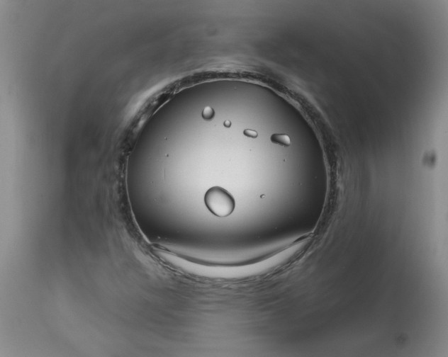 X0000113151304200909251318