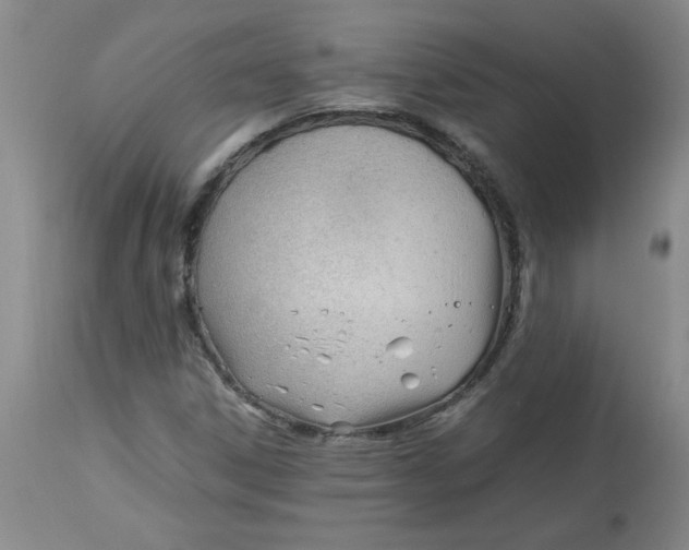 X0000113151306200909251318