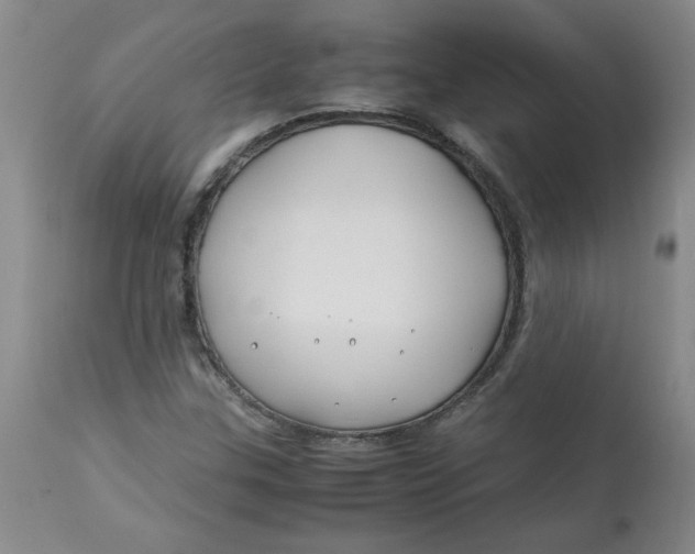 X0000113151307200909251318