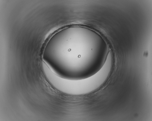 X0000113151308200909251318