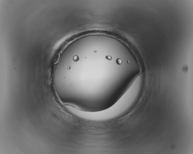 X0000113151310200909251318