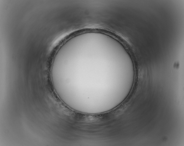 X0000113151311200909251318