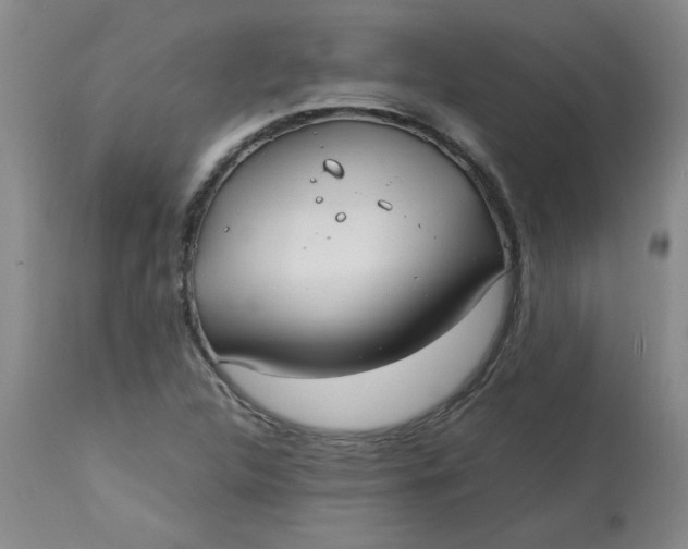 X0000113151312200909251318