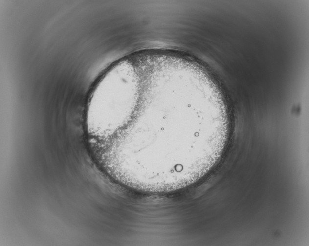 X0000113151314200909251318