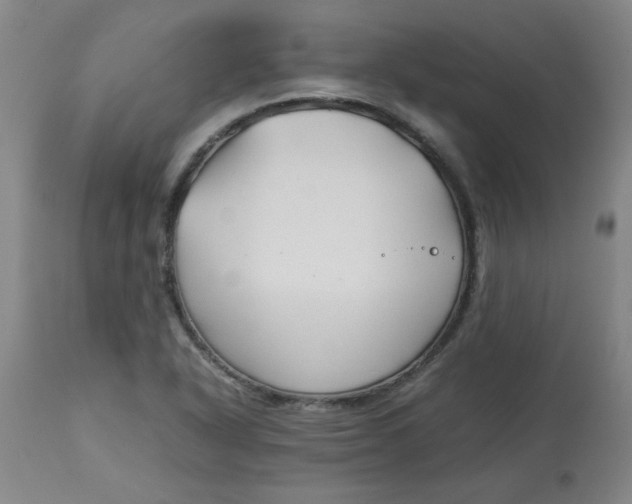 X0000113151318200909251319