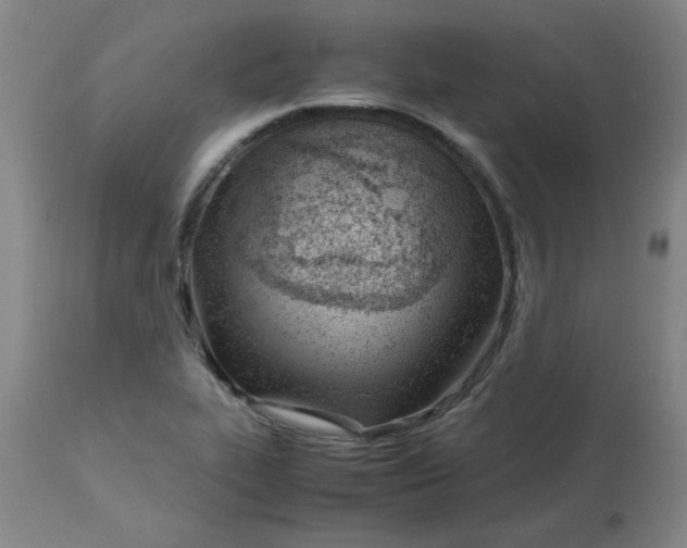 X0000113151319200909251319