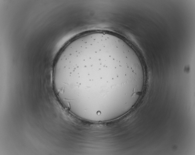 X0000113151320200909251319