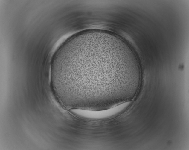 X0000113151323200909251319