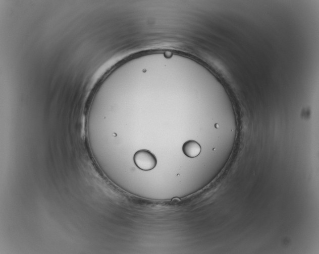 X0000113151324200909251319