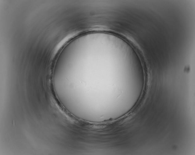 X0000113151325200909251319