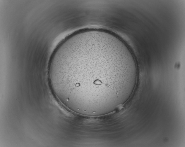 X0000113151327200909251319