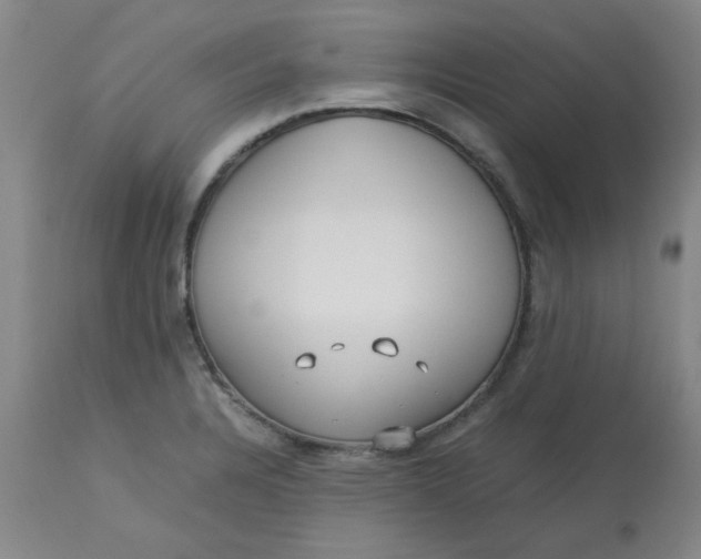 X0000113151328200909251319