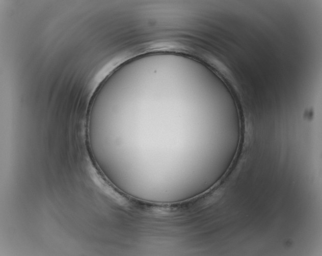 X0000113151330200909251319