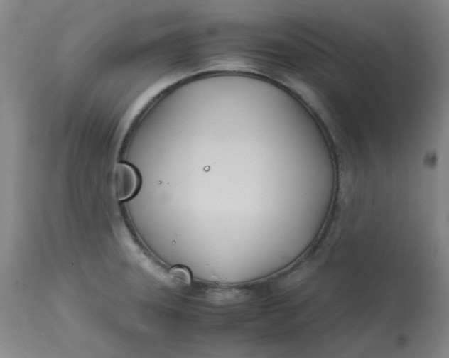 X0000113151331200909251319