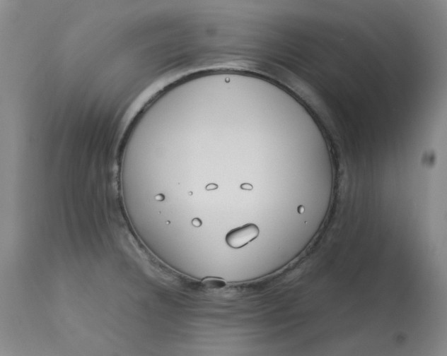 X0000113151332200909251319