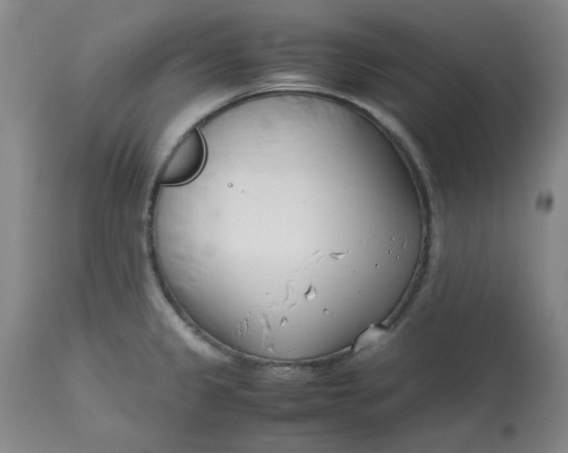 X0000113151333200909251319