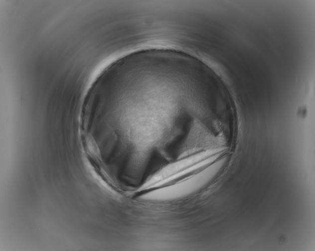 X0000113151334200909251319