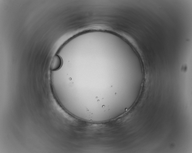 X0000113151335200909251319