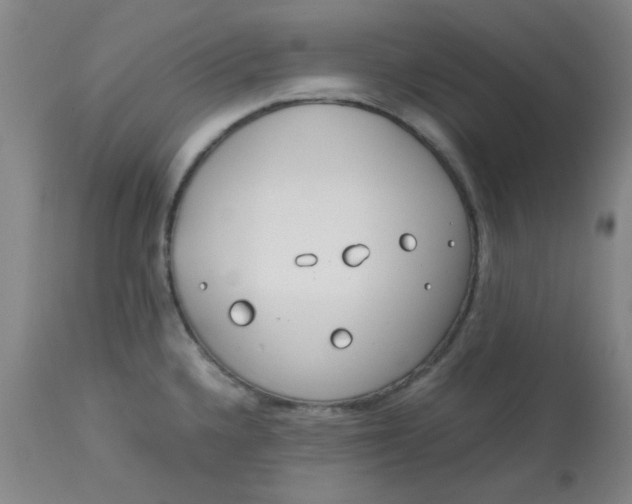 X0000113151336200909251319