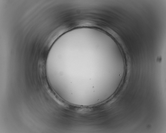 X0000113151337200909251319