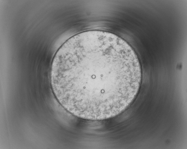 X0000113151338200909251319