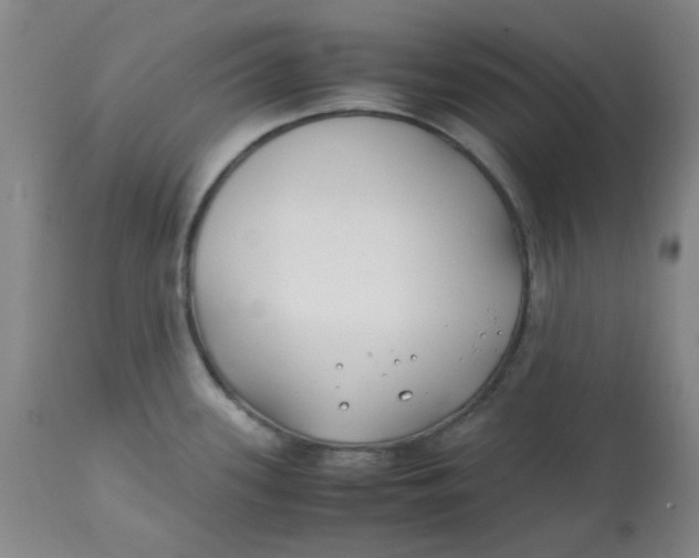 X0000113151339200909251319