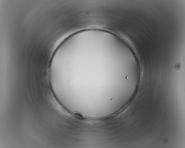 X0000113151340200909251319