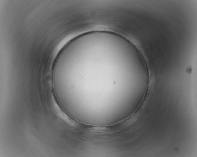 X0000113151342200909251319