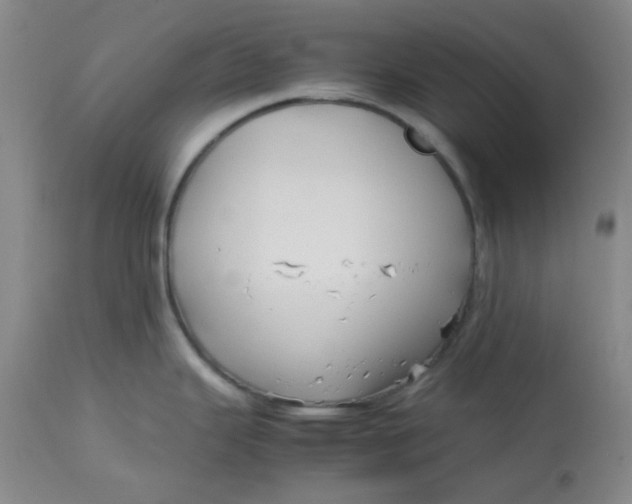 X0000113151343200909251319