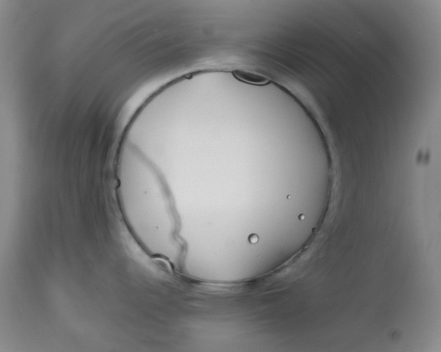 X0000113151344200909251319