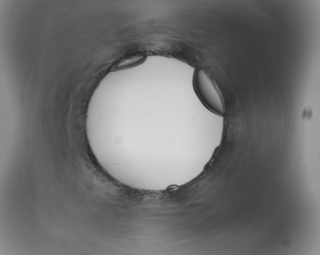 X0000113151345200909251318