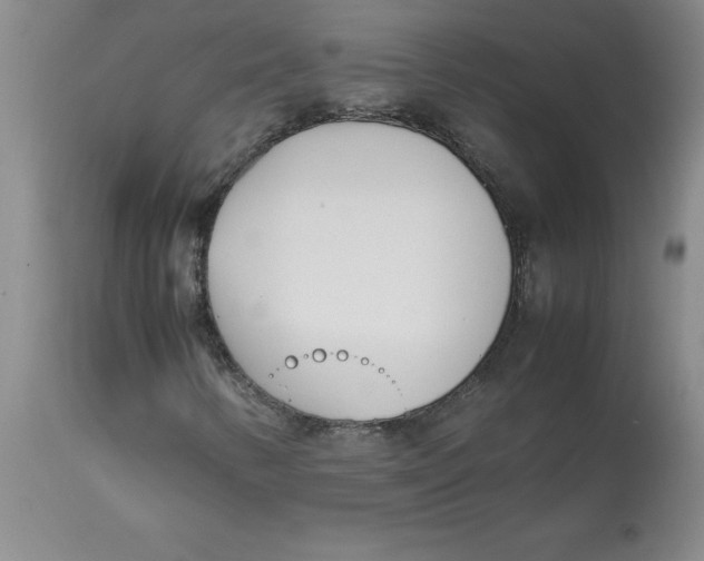 X0000113151346200909251318