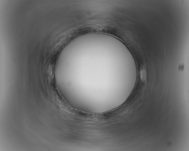 X0000113151347200909251318