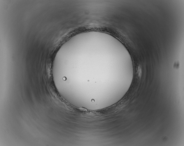 X0000113151348200909251318