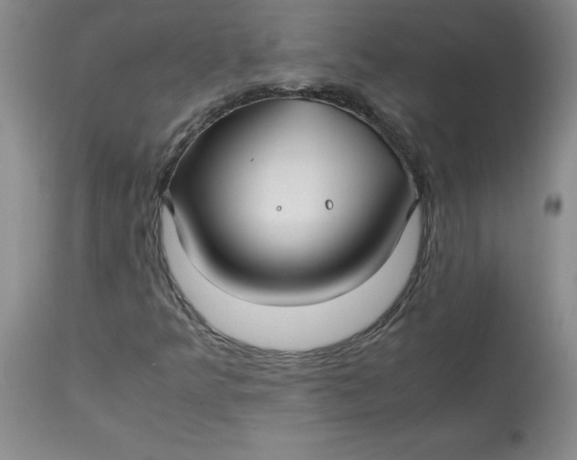 X0000113151349200909251318