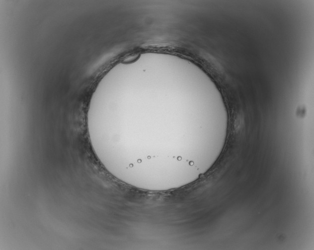 X0000113151350200909251318