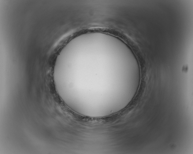 X0000113151351200909251318