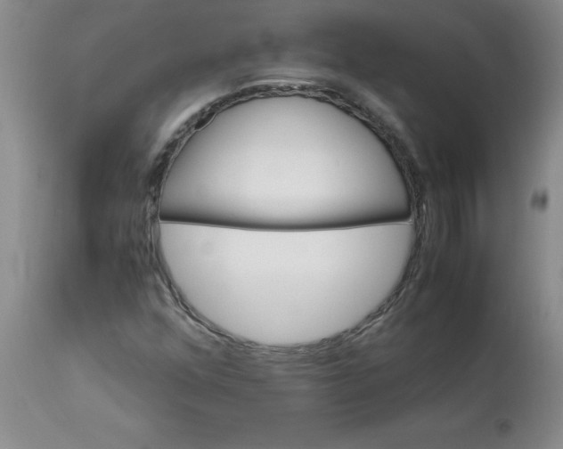 X0000113151352200909251318