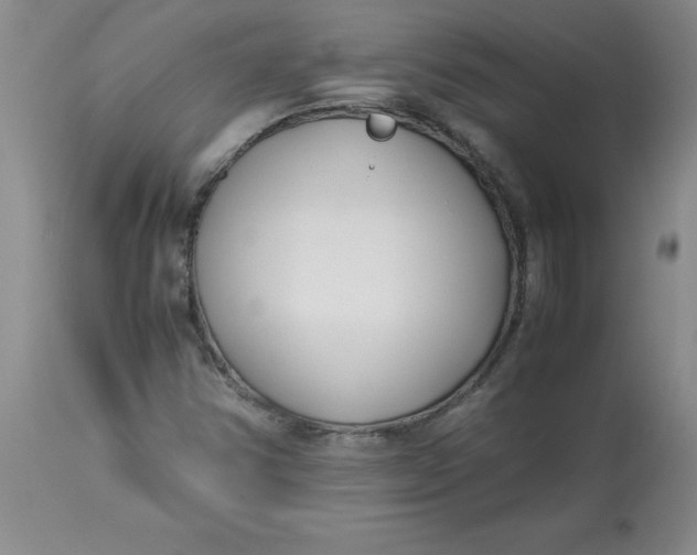 X0000113151354200909251318