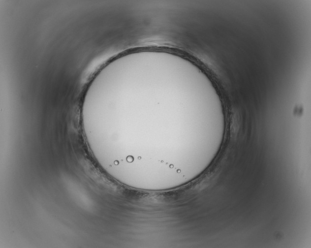 X0000113151358200909251318