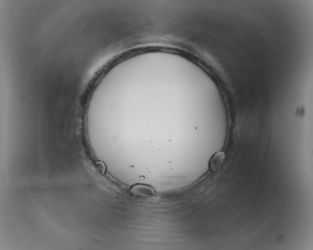 X0000113151360200909251318