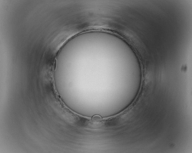 X0000113151361200909251318