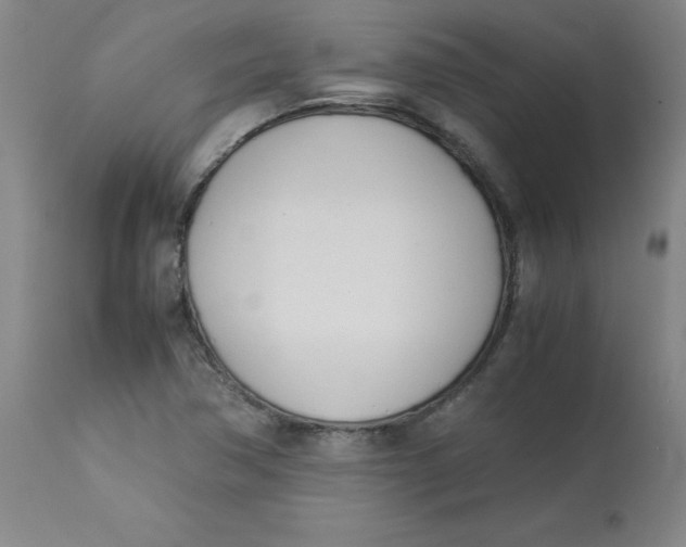 X0000113151362200909251318