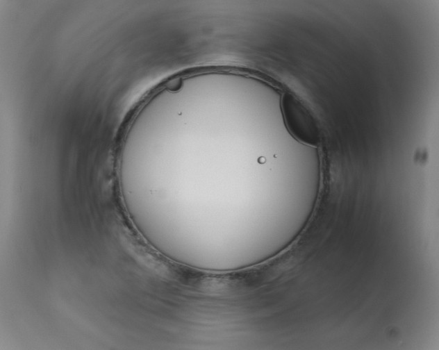 X0000113151364200909251318