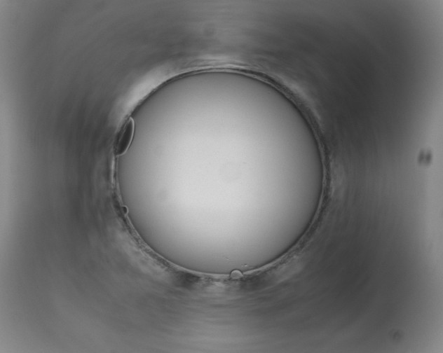 X0000113151365200909251318