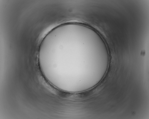 X0000113151367200909251318