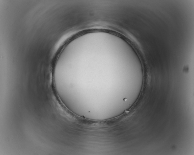 X0000113151368200909251318