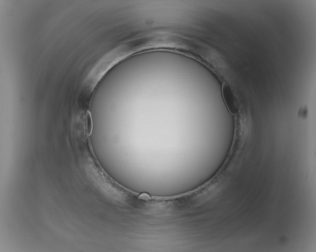 X0000113151369200909251318